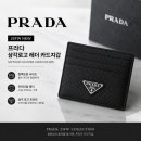 E-025 | 프라다 25FW 삼각로고 레더 카드지갑