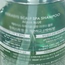 수클리너 | 비듬클리너 사용 후기! 예쁜 참빗 추천