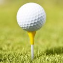 (주)나이스트리 이미지