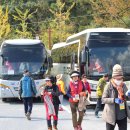 상관편백숲길 이미지