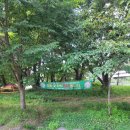 강변유원지길 | 드들강솔밭유원지ㅣ산책하기 좋은 나주 가볼만한 곳