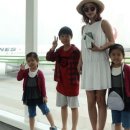 S.E.S. 카카오 검색결과
