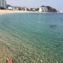 한성막국수 이미지