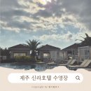 서울사우나앤휘트니스 | 제주 신라호텔 수영장 쁘띠카바나 패키지 '풀앤북카페'_내돈내산