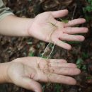 유심농장 이미지