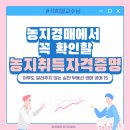 부동산경공매 기초과정 이미지