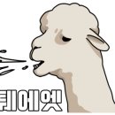 국가대표순대국 이미지