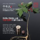 백초지왕