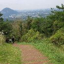 더바잉 이미지