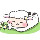 모아건설인테리어 이미지