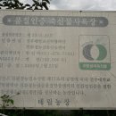 버들나루터마을 이미지