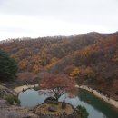 삼성궁 이미지