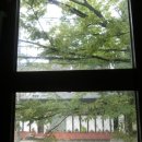 미나야채 이미지