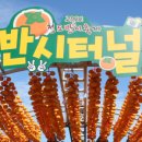 원리73 로스터스 이미지