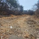 홍천염소농장 이미지