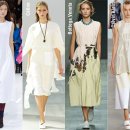 미모사패션 이미지