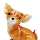 Dog.(독점) 이미지