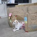 군산남중학교 이미지