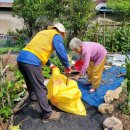 대승환경 이미지