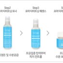민트파파