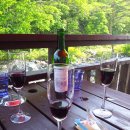 모리의 언덕 이미지