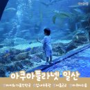11500-15-14-34 | 일산 <아쿠아플라넷> 후기 34개월·14개월 아이와 비 오는 날 실내 나들이 추천