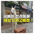 씨에이반려동물세상