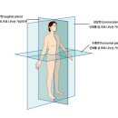 윤진화 퍼스널트레이닝 이미지