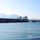 홍해