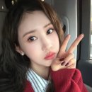 이다해 카카오 검색결과