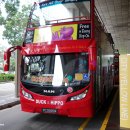 옐로우히포(YELLOW HIPPO) 이미지