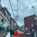 큰숲스테이 네이버블로그