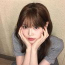 정세비 카카오 검색결과