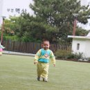 괴정오작교체육공원 Daum카페