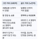 키위 (작은 영양 폭탄) 이미지