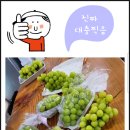 화창농원 이미지