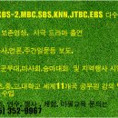 안법초등학교 이미지