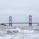 신안관광개발㈜ | 겨울 여행 추천 신안 퍼플섬 완벽 가이드 방한 꿀팁과 포토존