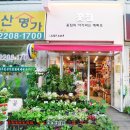 꽃집의아가씨는예뻐요망우점 | 중랑구꽃집 상봉동꽃집 집들이화분 꽃집의아가씨는예뻐요 추천 후기 !