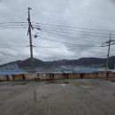 울타리 | 대구 경북 메쉬 펜스 울타리 설치 후기