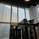 경화헬스 | [용인 동천동] 강한 햇빛과 더위 잡는 PT샵 열차단 필름 &amp; 외부 데코필름 교체 시공 후기