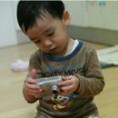 동준이 농장 이미지