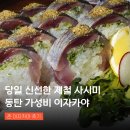 홍등초장 | 동탄이자카야 숙성회 사시미 맛집 춘