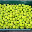 여주축산업협동조합