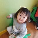 붕붕카 이미지