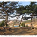 서구-01-04 이미지