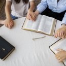 예실목장 이미지