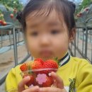 시립새빛어린이집 이미지