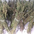 무심농장 이미지