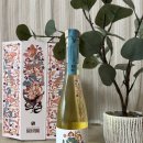 백경한의원 이미지